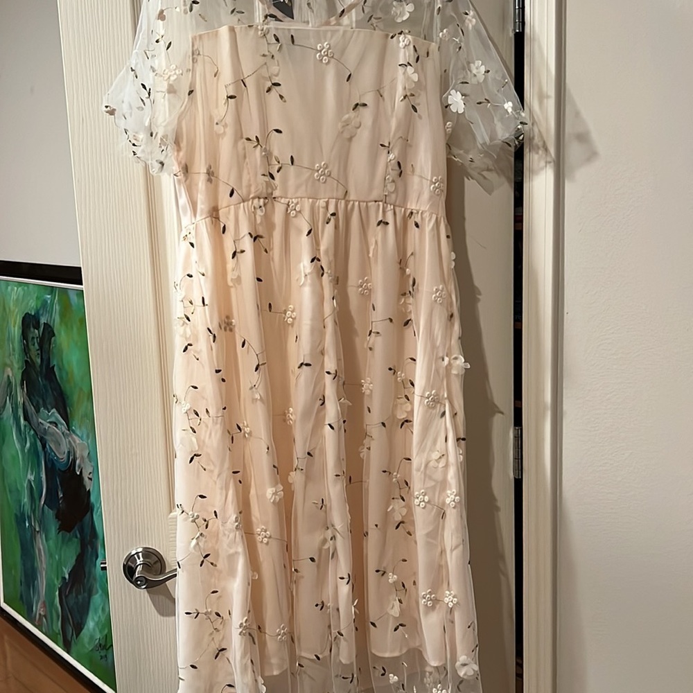 Beautiful Spring Dress - Picture 7 of 8